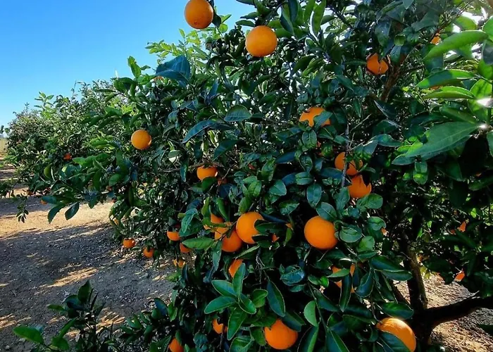 Veronica Σπίτι διακοπών *