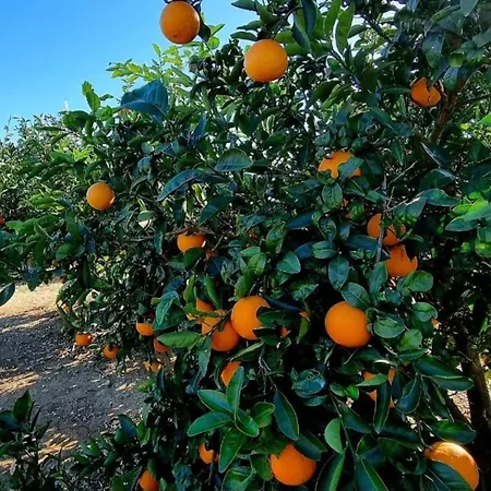 Veronica Дом отдыха *